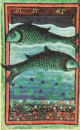 12 poissons