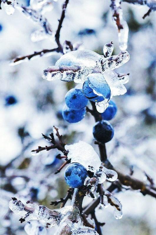 398693635 1038919817439611 8511797144657857642 n