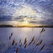 ciel