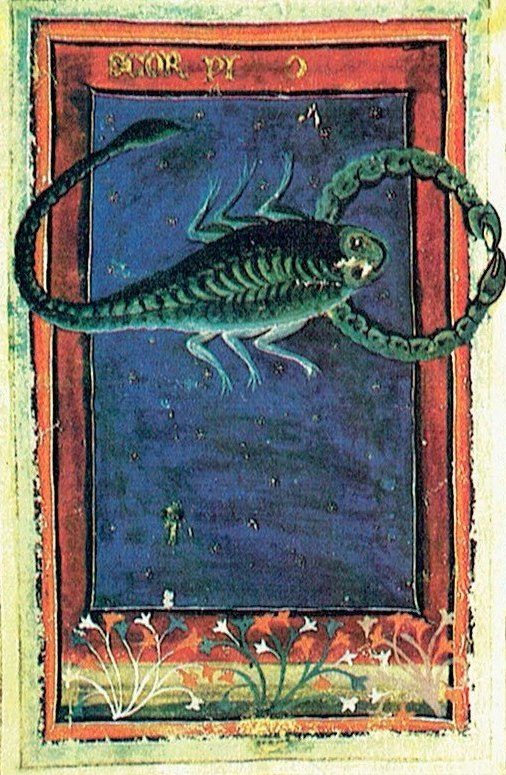 Le signe du Scorpion