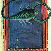 8 scorpion 2
