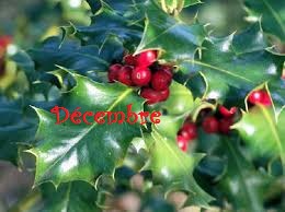 Decembre 1