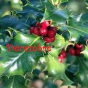 Decembre