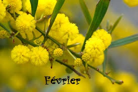 Fevrier