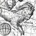 Le signe astrologique capricorne est aussi un animal legendaire 19b2f197d58421d48b1a471d2ca2959b67c05e41