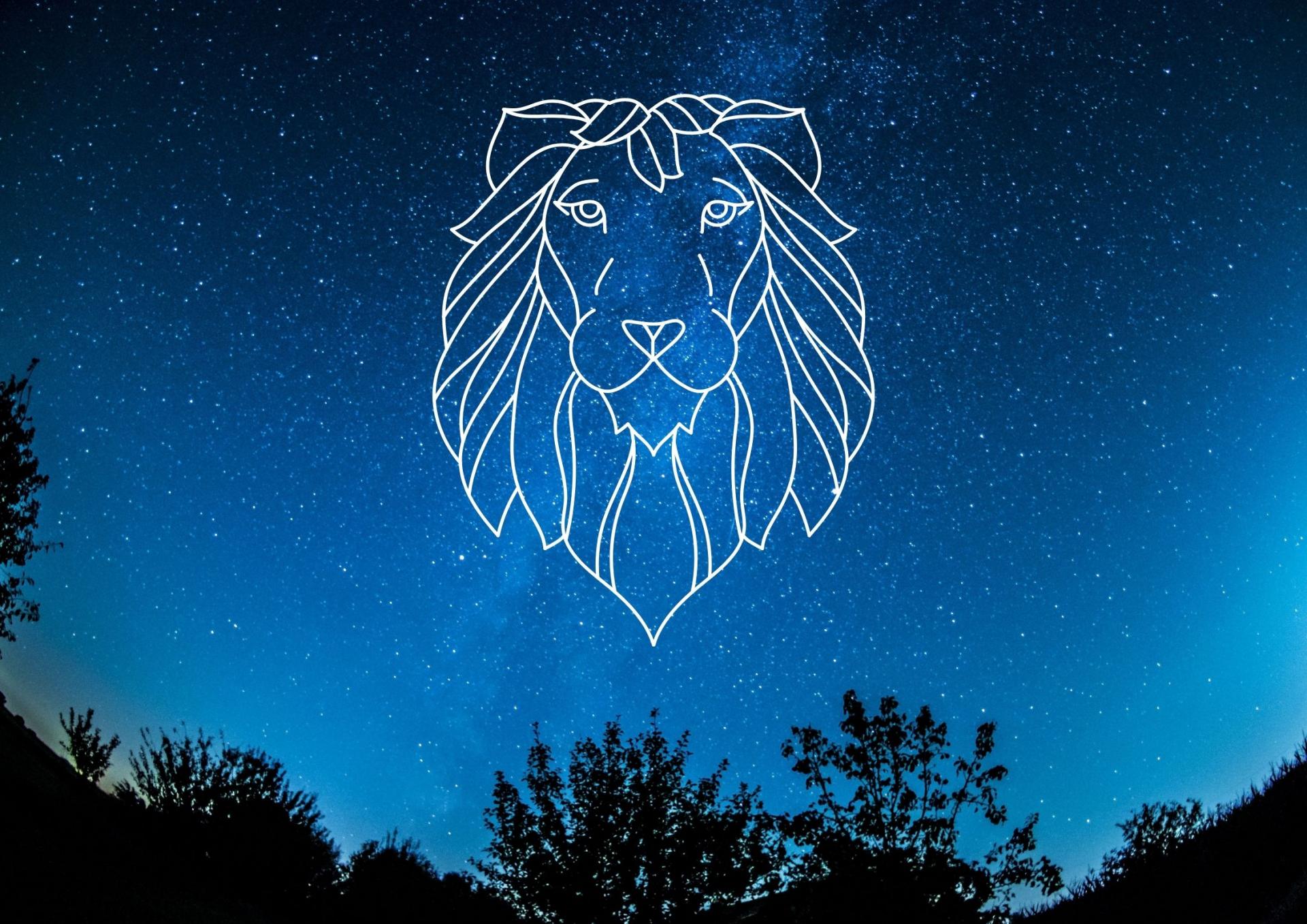 Lion 1 1