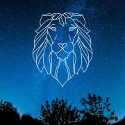 Lion 1 1