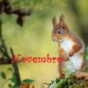 Novembre 1