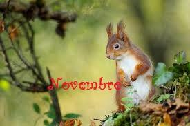 Novembre