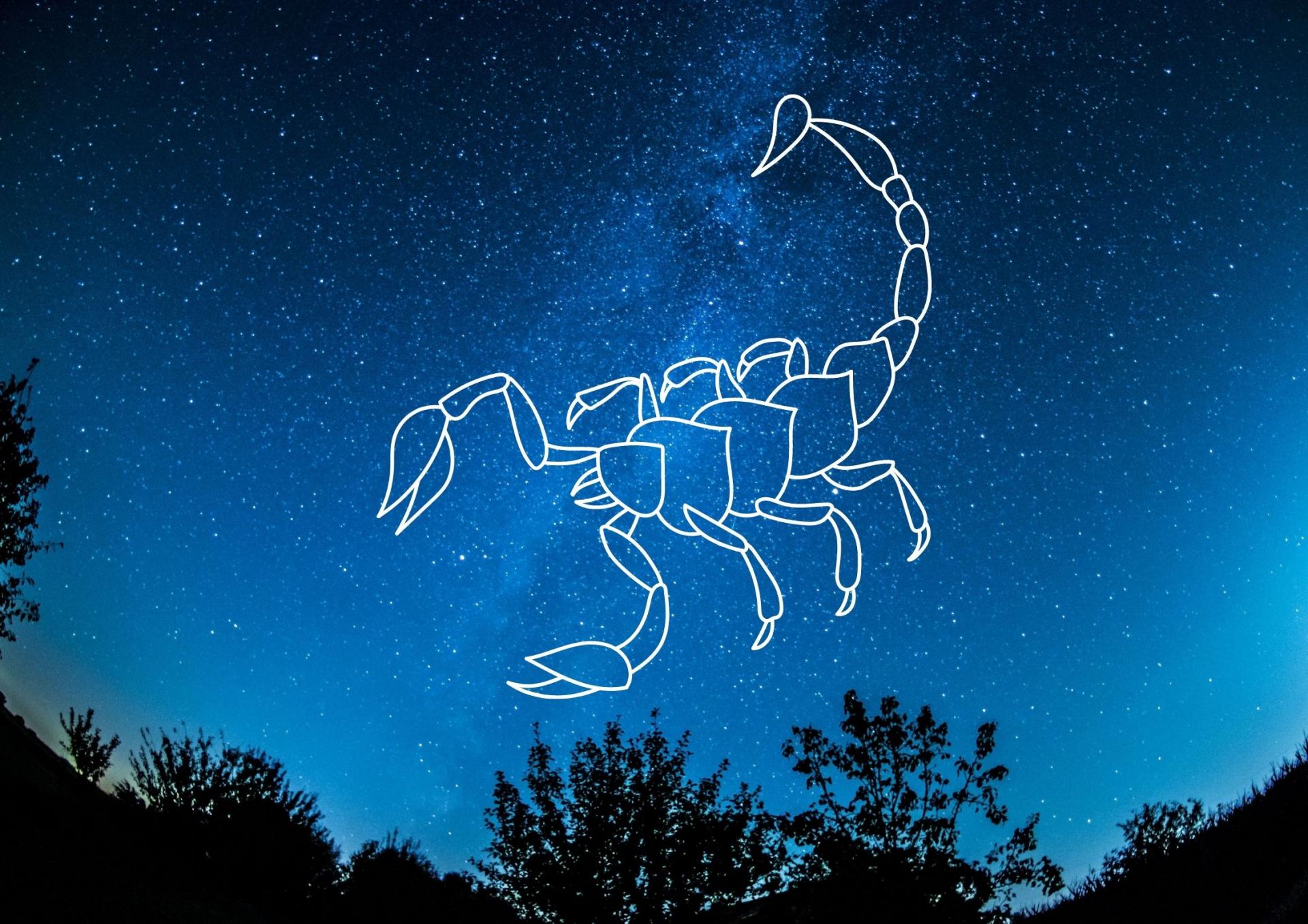 Scorpion 1 1