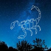 Scorpion 1 1