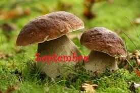 Septembre 1