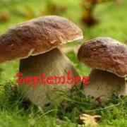 Septembre 1